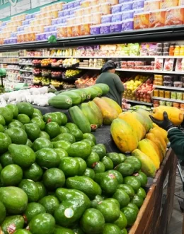 Food Stamps Are Back — But Millions May Lose Access Forever