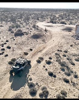 28th Parallel, War Zone Between Chapitos and Mayiza