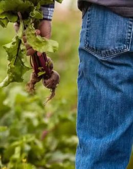 Calls to Mental Health Hotlines Rise as Farmers Buckle Under Stress