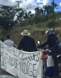 The Jalisco New Generation Cartel and four other organizations are accused of extorting lemon growers in Michoacán.