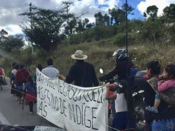 The Jalisco New Generation Cartel and four other organizations are accused of extorting lemon growers in Michoacán.