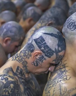 The Salvadoran justice system sentenced 248 members of the Mara Salvatrucha gang to prison terms of up to 1,335 years.