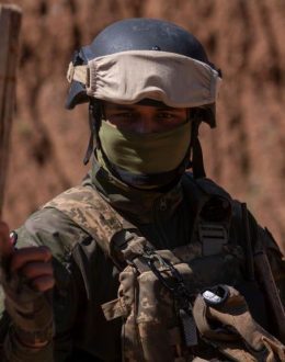 The Rise of the “Narco-Fishmongers” in the Gulf of California: Crime, Inequality, and Environmental Crisis Intertwined