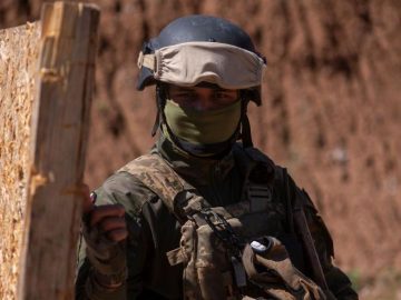 The Rise of the “Narco-Fishmongers” in the Gulf of California: Crime, Inequality, and Environmental Crisis Intertwined