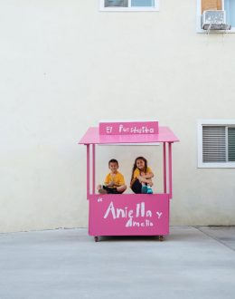 El Puestesito de Aniella y Amelio: A Cultural Spark for Latino Empowerment