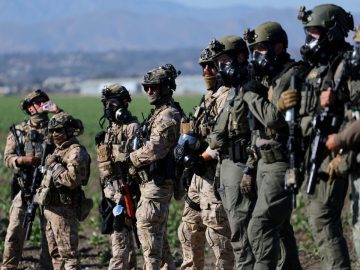 New Poll Reveals Public Fears: Are We Deporting the Wrong People?