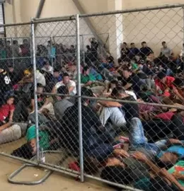 Border Crossings Fall, but ICE Detention Hits Record Highs, New DHS Data Shows