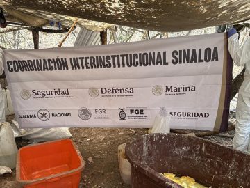 Mexican Navy destroys drug lab belonging to “Los Rugrats,” a faction of Los Chapitos in Sinaloa