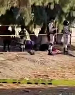 Sirens, whistles, and grassroots alerts emerge as immigrant neighborhoods respond to intensified ICE activity