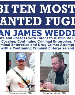 From Olympian to Drug Kingpin: The Fall of Ryan Wedding Exposes a New Face of Transnational Crime