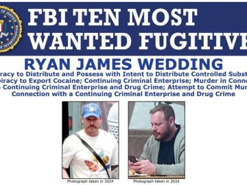 From Olympian to Drug Kingpin: The Fall of Ryan Wedding Exposes a New Face of Transnational Crime