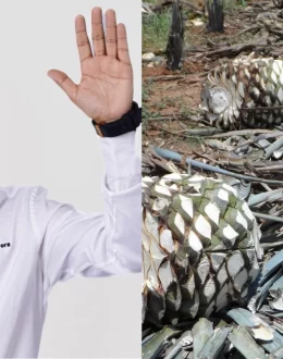 This is how a tequila brand sued the mayor of Tequila for millions in bribes