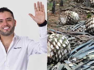 This is how a tequila brand sued the mayor of Tequila for millions in bribes