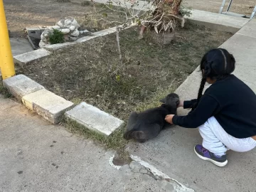 ICE Baby Jails: Poor Conditions, Child Detention, and Family Struggles