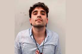 Ovidio Guzmán will have to wait until the end of July for his sentencing hearing in the US.