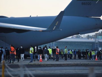 Deportations Have Quadrupled, Still Fall Far Short of Administration’s Target