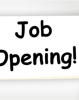 Immigration Cuts Fail to Boost Jobs for U.S.-Born Workers, NFAP Study Finds