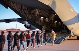 Habeas Corpus: The Legal Tool for Freedom While Deportation Cases Are Decided