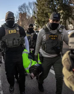ICE Arrests Fell 11% Per Day in February