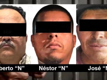 Seven Criminals Wanted in the US for Drug Trafficking and Sexual Abuse Arrested in Mexico