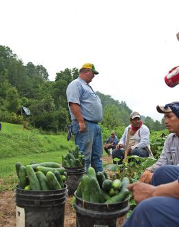 Farmworkers’ Movement Shifts Focus to Justice, Safety, and Accountability