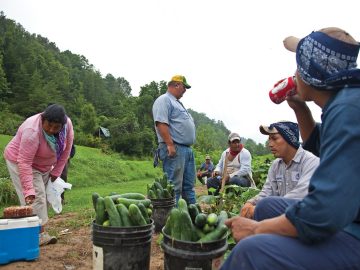 Farmworkers’ Movement Shifts Focus to Justice, Safety, and Accountability