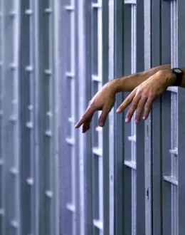 Behind Bars Data Project at UCLA Law compiles first full dataset on deaths in ICE custody