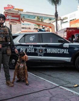 1 million US Residents Headed to Mexico for Holy Week