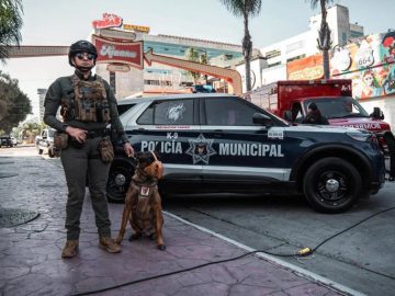 1 million US Residents Headed to Mexico for Holy Week