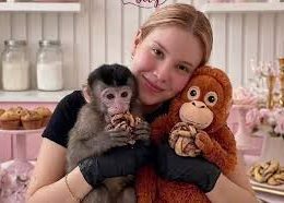 Friend of Pastry Chef Carmiña Castro Recounts Her Abduction in Culiacán: She Had Reopened Her Business Just Two Weeks Earlier