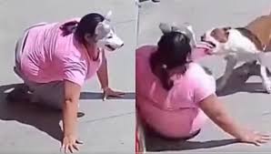Young Therian Experiences Terrifying Moment After Being Attacked by a Pit Bull; The Entire Incident Captured on Video