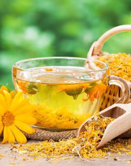 Calendula Tea Benefits and Risks: Why Latino Families Still Trust This Remedy