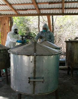 Mexican Cartels Export ‘Cooks’ to Europe to Produce Methamphetamine and Cocaine