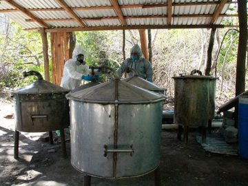 Mexican Cartels Export ‘Cooks’ to Europe to Produce Methamphetamine and Cocaine