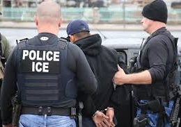Study Shows Dramatic Rise in Deportations and Street Arrests