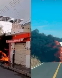Cars and Businesses Set Ablaze in Nayarit Following Capture of ‘El Jardinero’