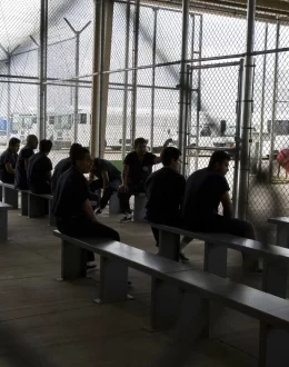 Deaths in Immigration Detention Surge to 22-Year High, Doctors Warn