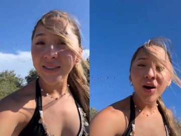 Influencer Elisa La Yuca Criticized for Scaring A Flock of Flamingos in Yucatán
