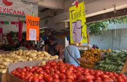 Tomato Prices Soar to 60 Pesos Per Kilo; Families Turn to Boxed Puree as Sales Drop 30%