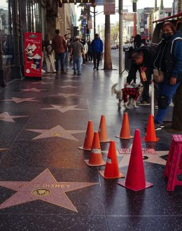 “I’m Not Going to LA” Travel Drop Sparks World Cup Fears