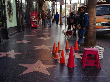 “I’m Not Going to LA” Travel Drop Sparks World Cup Fears