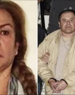 The Financial Mastermind of “Los Chapitos”: How “La Patrona” Operated Amidst Power, Betrayal, and Prison