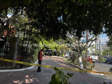 Hitmen Execute Lawyer Octavio Alan Ochoa Martínez in Guadalajara as He Arrived at His Office