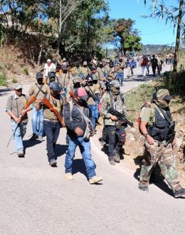 Who Are Los Ardillos: The Criminal Group Displacing Indigenous Communities in Guerrero