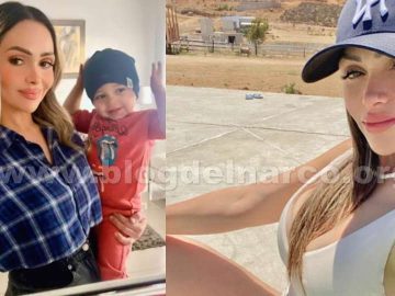 Mexicali Divorce Custody Case: Child Dies in Hot SUV; Mother Was Drunk