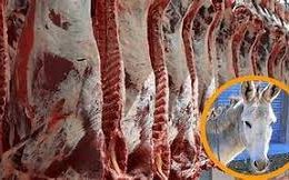 Un asadito?… but with donkey meat. Argentina adapts its national dish to its economic crisis