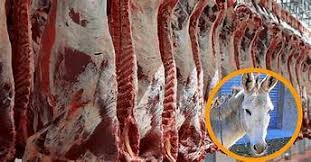 Un asadito?… but with donkey meat. Argentina adapts its national dish to its economic crisis