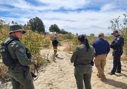 Search Collectives Make Double Discovery of Human Remains in Ensenada