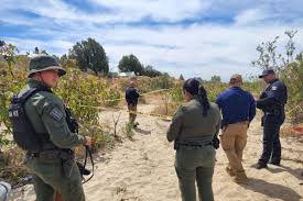 Search Collectives Make Double Discovery of Human Remains in Ensenada