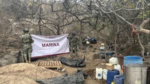 Navy Dismantles “Los Mayos” Narco-Camp in Elota, Sinaloa